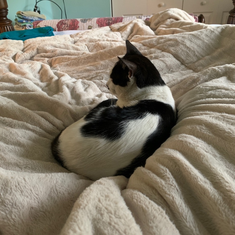 Meet your Posher, Kyleigh